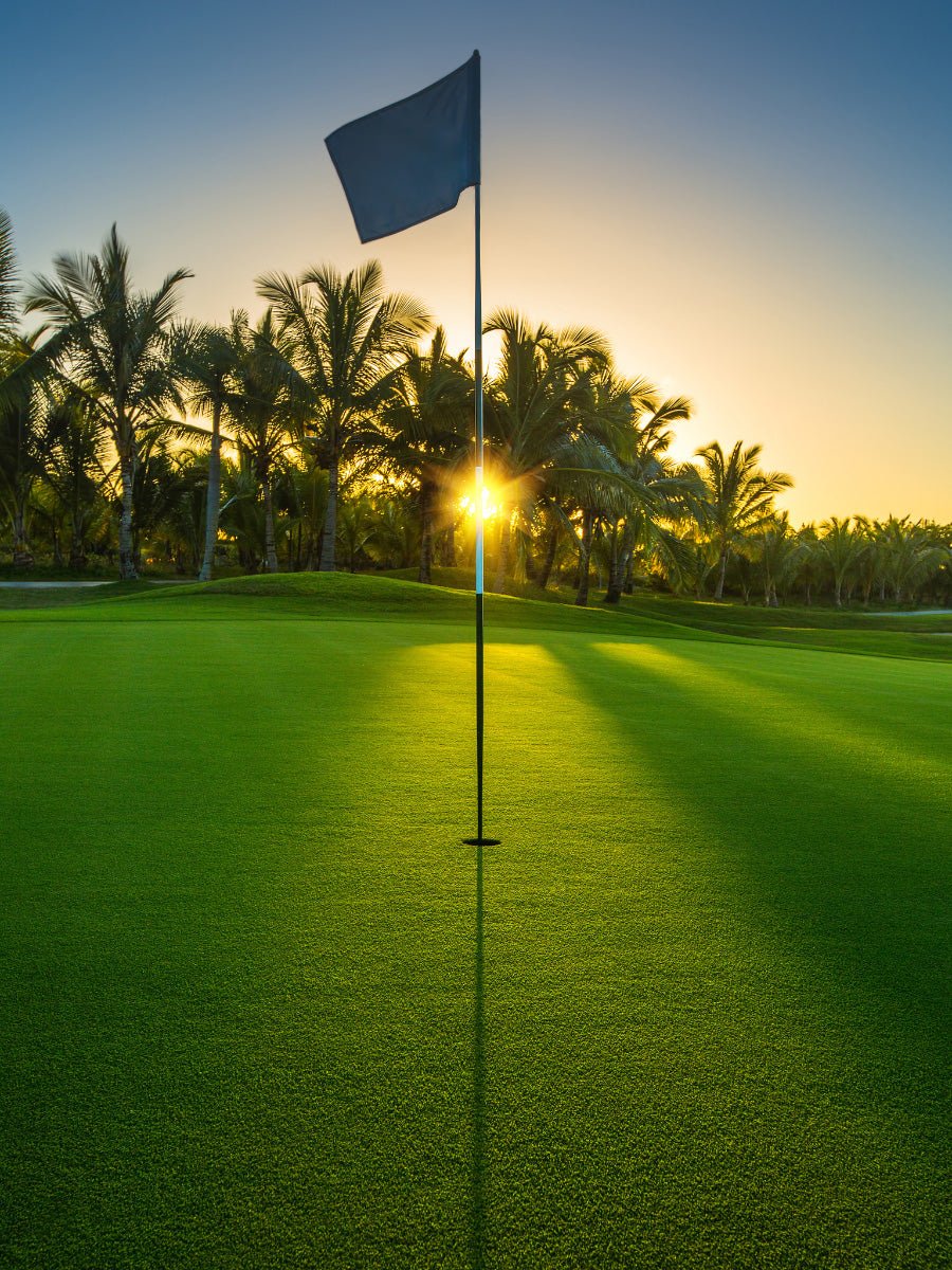 Blue Tees vs Bushnell Speaker - When you’re out there on the green, needing GPS accuracy and quality sound, which do you choose?