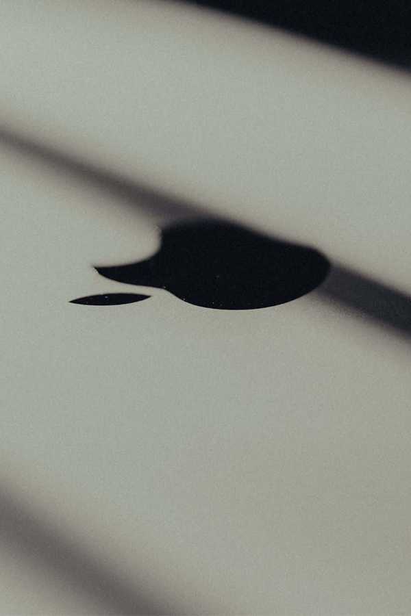 It's time to really get into the thick of these iPhone flip phone rumors.