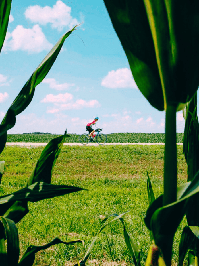 RAGBRAI 2025 - Cyclist riding the scenic RAGBRAI route through Iowa farmland.