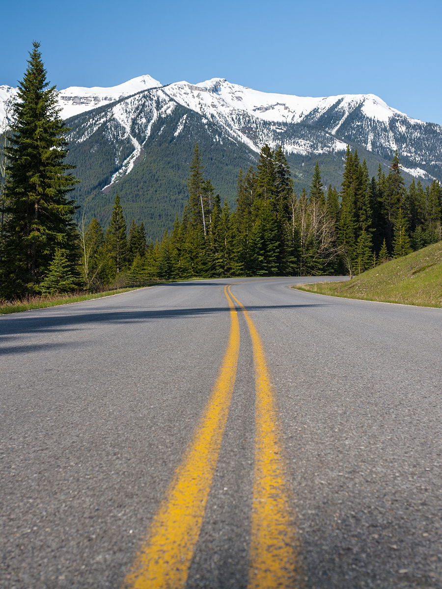 Taking things off-road? Wherever the road takes you, grab a universal phone mount that keeps your phone ready for action